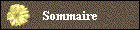 Sommaire